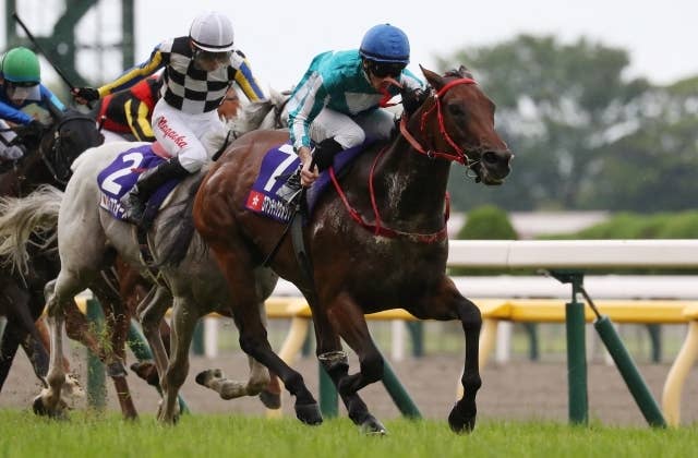 マッドクール（Mad Cool） | 競馬データベース | JRA-VAN World