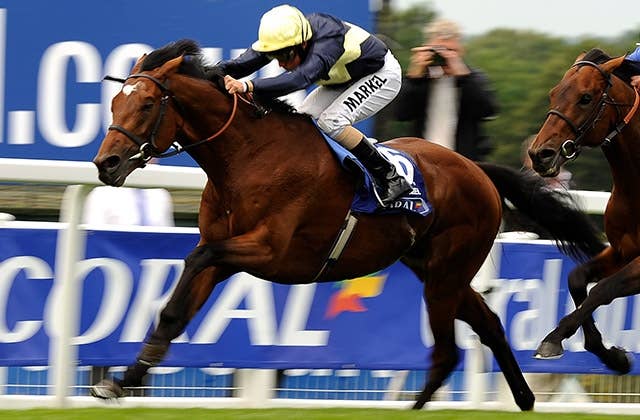 ナサニエル（Nathaniel） | 競馬データベース | JRA-VAN World - 海外