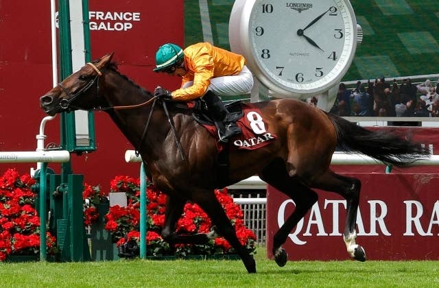 ロペデヴェガの種付け料が約2900万円に値上がり、ヴァルトガイストはドイツへ移籍 JRAVAN World 海外競馬情報サイト