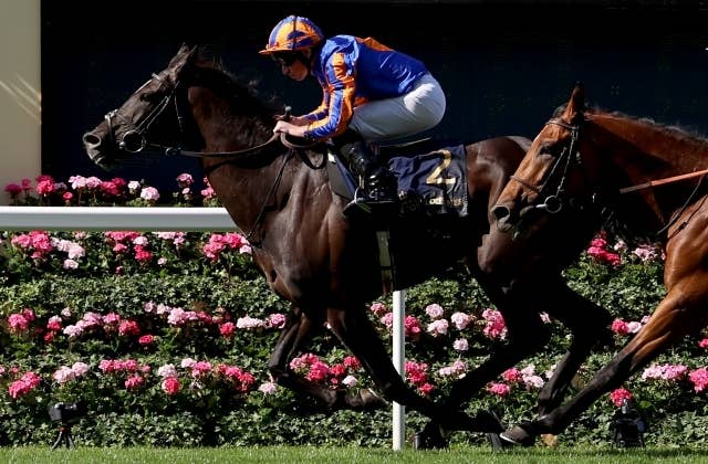 ディープインパクト（Deep Impact） | 競馬データベース | JRA