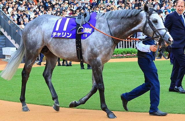 チャリン（Charyn） | 競馬データベース | JRA-VAN World - 海外