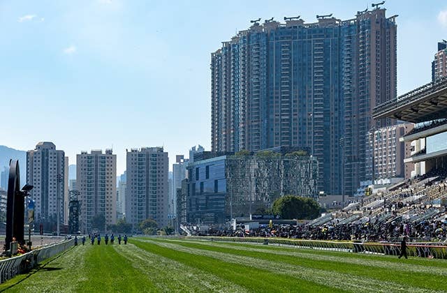 カーインライジングが7連勝、香港G2ジョッキークラブスプリントも快勝 JRAVAN World 海外競馬情報サイト