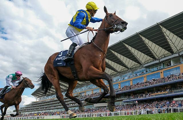 ジャパンカップのプレレーティング、トップは欧州馬ゴリアット JRAVAN World 海外競馬情報サイト