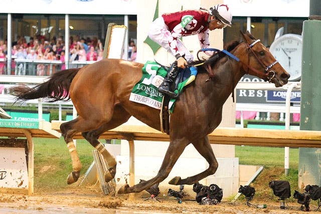 KYダービー馬ミスティックダンは年内休養、KYオークス馬ソーピー KYダービー馬ミスティックダンは年内休養、KYオークス馬ソーピー