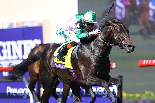 競馬 香港馬名 千社札ストラップ アグネスデジタル 未使用