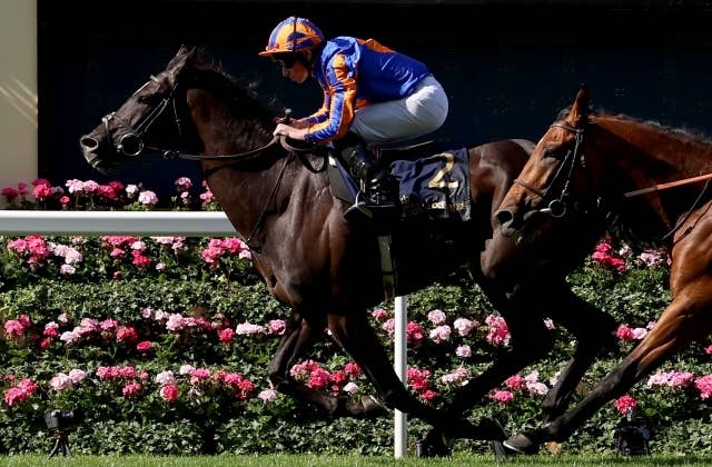 ジャパンC】やっぱり軽かった！オーギュストロダンの調教後馬体重は452