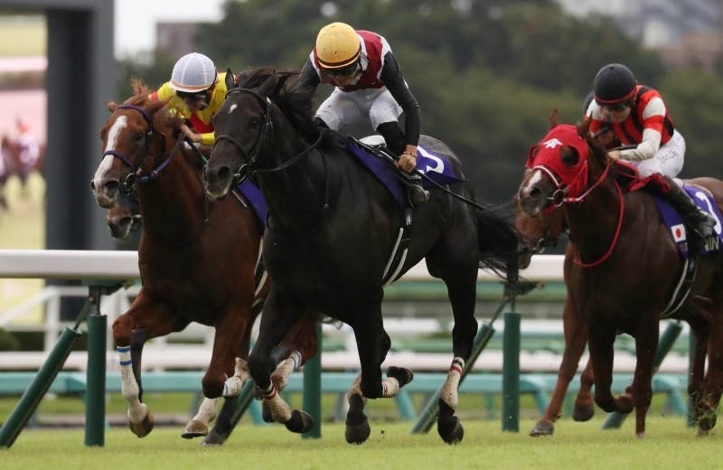 ルガル（Lugal） | 競馬データベース | JRA-VAN World - 海外