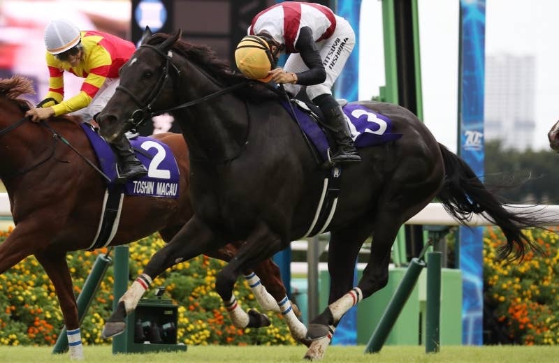 競馬ファンの方、海外レース、優勝馬 ファンスター（Funstar） | 競馬データベース | JRA-VAN World