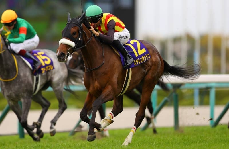 全てのアイテム | ステレンボッシュ（Stellenbosch） 競馬データベース JRA | コレクション