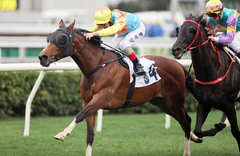 競馬ファンの方、海外レース、優勝馬 シーキングザパール｜名馬メモリアル｜競馬情報ならJRA-VAN