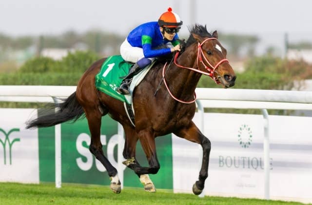 バスラットレオン重賞勝利記念コースターセット!3レース広尾馬 バスラットレオン重賞勝利記念コースターセット!3レース広尾馬