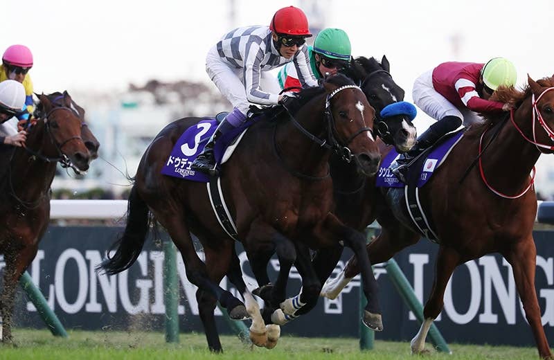 ドウデュース　凱旋門賞　フェイスタオル ドウデュース フェイスタオル – 競馬のおはなし ONLINE SHOP