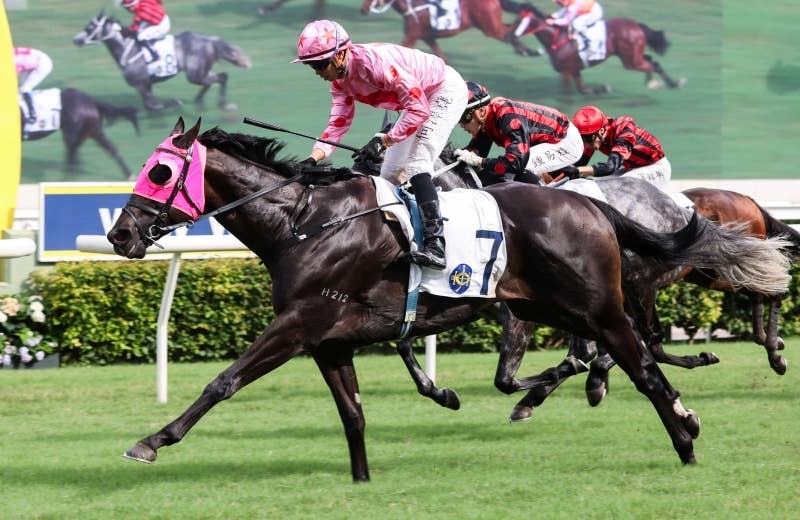 チェンチェングローリー（Chancheng Glory） | 競馬データベース | JRA