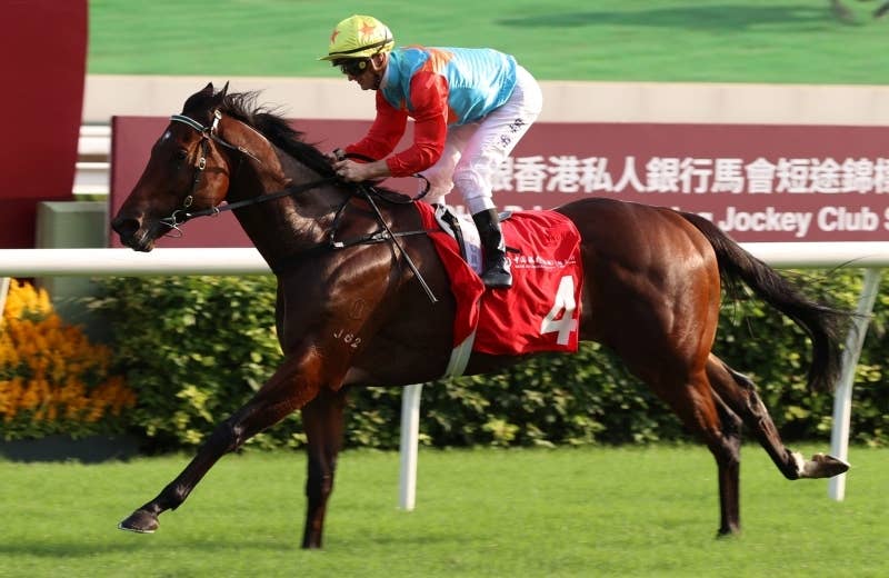 カーインライジング　香港　スプリント　ぬいぐるみ　香港国際競走　日本未発売現地物 カーインライジング ぬいぐるみ 香港国際競走 日本未発売 現地物