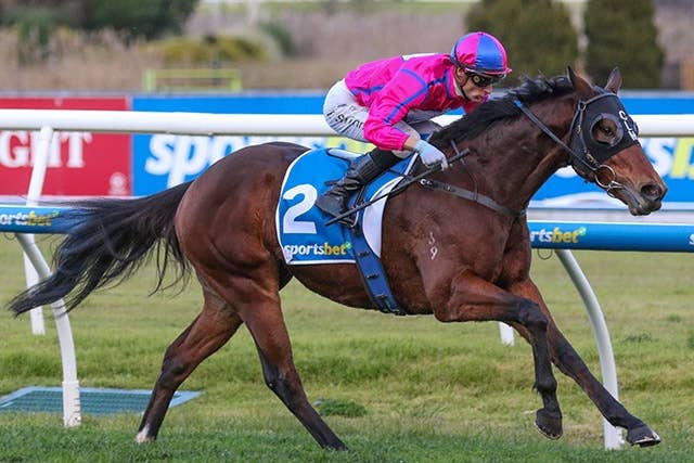 香港スプリント（G1） 2024/12/8(日) | 日程・結果 | JRA-VAN