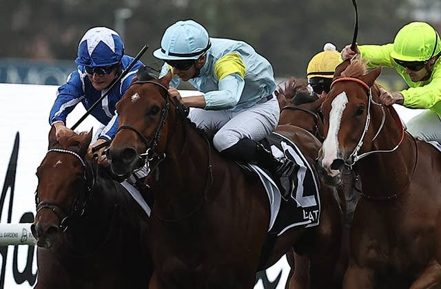 香港マイル（G1） 2024/12/8(日) | 日程・結果 | JRA-VAN World - 海外
