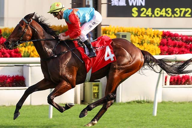 カーインライジング　香港　スプリント　ぬいぐるみ　香港国際競走　日本未発売現地物 カーインライジング ぬいぐるみ 香港国際競走 日本未発売 現地物