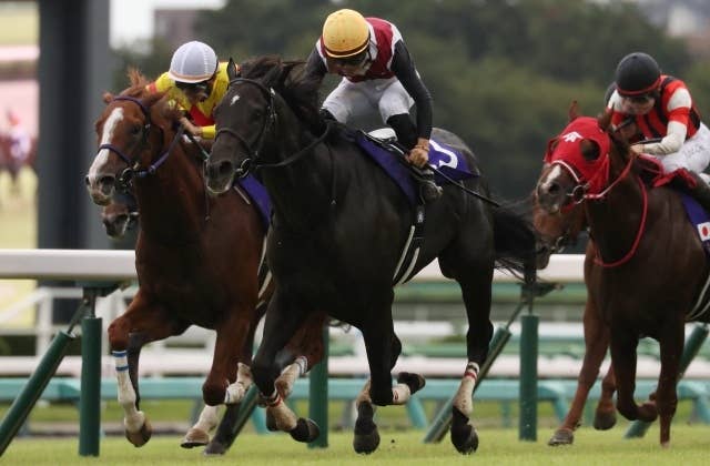洋書 フランス語 馬 販売情報 Deauville 競馬 ドーヴィル 2002