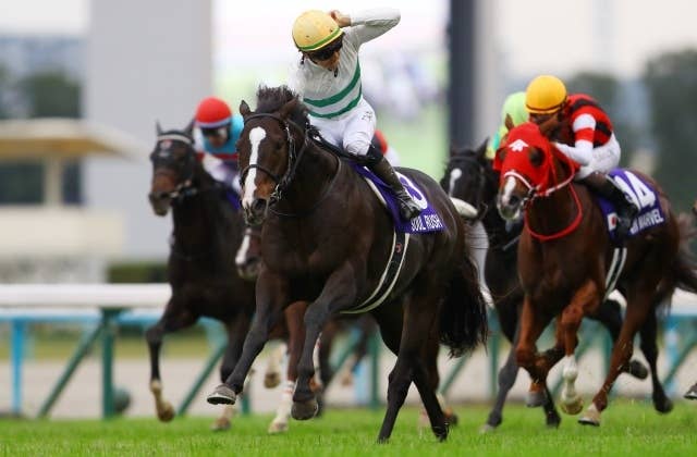 ジャンタルマンタル　メイクデビュー京都　現地的中単勝馬券 2025年最新】Yahoo!オークション -馬券 単勝の中古品・新品・未