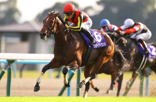 【新品、未使用】JRA　モーリス　香港馬名　香港カップ　エコバッグ 香港カップ】日本馬ワンツー！ラヴズオンリーユーが引退レースを