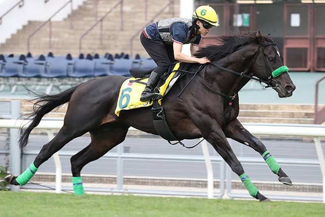 競馬 レシステンシア 2022年香港スプリント実使用ゼッケン カーインライジングが破竹の9連勝、香港G1センテナリー