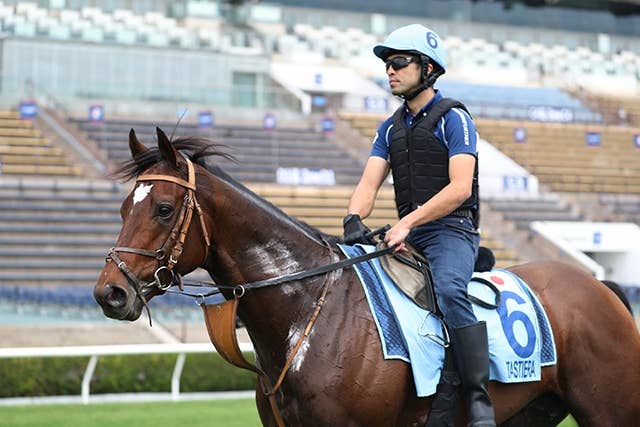 香港カップ（G1） 2024/12/8(日) | 日程・結果 | JRA-VAN World - 海外