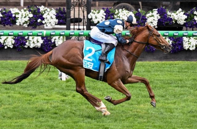 競馬ファンの方、海外レース、優勝馬 20141003-00000003-wordleafs-