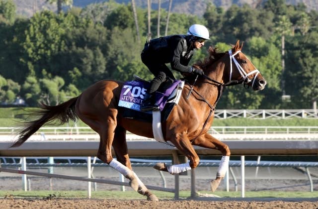 ロックド（Locked） | 競馬データベース | JRA-VAN World - 海外競馬