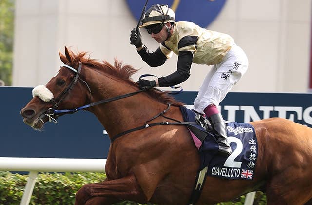 プラダリア（Pradaria） | 競馬データベース | JRA-VAN World - 海外