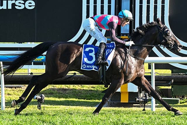 香港限定 競馬 ロマンチックウォリアー キャップ 帽子 - メルカリ