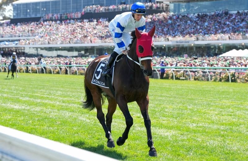 コヴァリカ（Kovalica） | 競馬データベース | JRA-VAN World