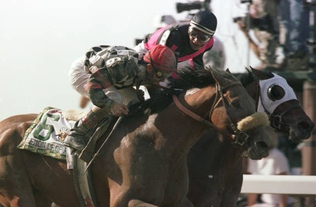 レモンポップ（Lemon Pop） | 競馬データベース | JRA-VAN World