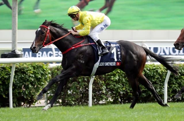 香港のG1・3勝馬ラッキースワイネス、9・28中山のスプリンターズ