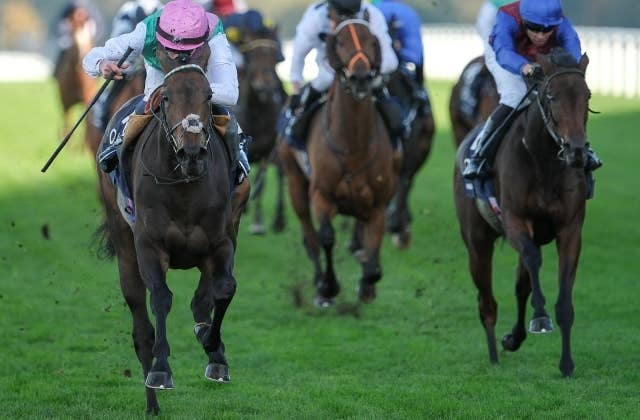 ディープインパクト ディープインパクト (Deep Impact)の産駒一覧 | 競走馬データ
