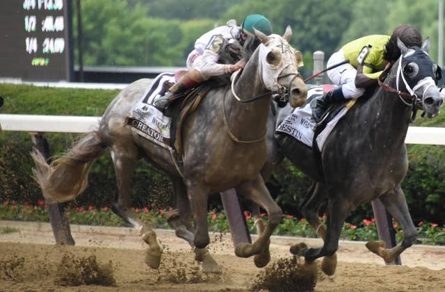 クリエイター（Creator） | 競馬データベース | JRA-VAN World - 海外