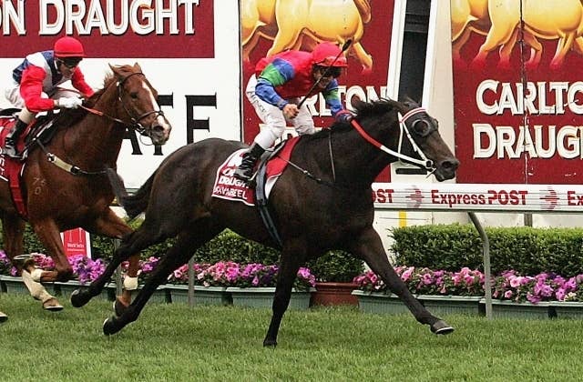 名種牡馬サヴァビールがNZの競馬殿堂入り、親子3代の快挙 | JRA-VAN