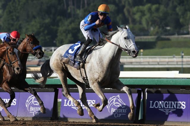 ペガサスWCの枠順確定、ホワイトアバリオは4番枠 JRAVAN World 海外競馬情報サイト