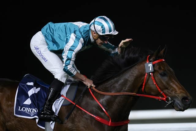 サウジC】ロマンチックウォリアーは本番で“勝負鉄”を装着か？「香港