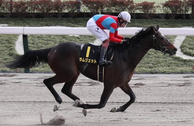 2025ドバイワールドカップ | JRA-VAN World - 海外競馬情報サイト