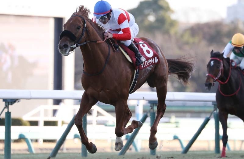 ◆　競馬　JRA　◆　ダノンデサイル　◆　日本ダービー　◆　２種類セット　◆ ダノンデサイル（Danon Decile） | 競馬データベース | JRA-VAN