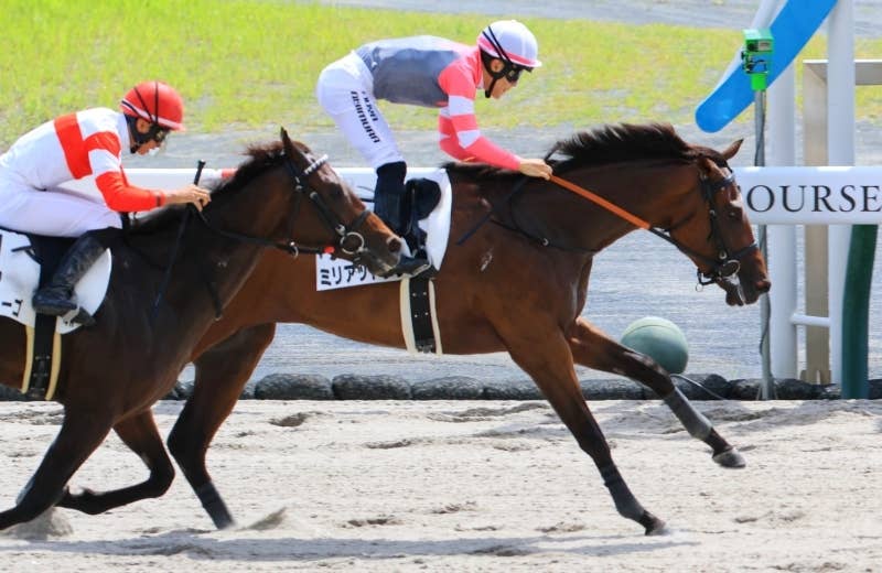 ミリアッドラヴ（Myriad Love） 競馬データベース JRAVAN World 海外競馬情報サイト