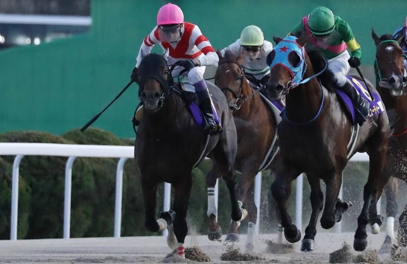 チカッパ（Chikappa） | 競馬データベース | JRA-VAN World