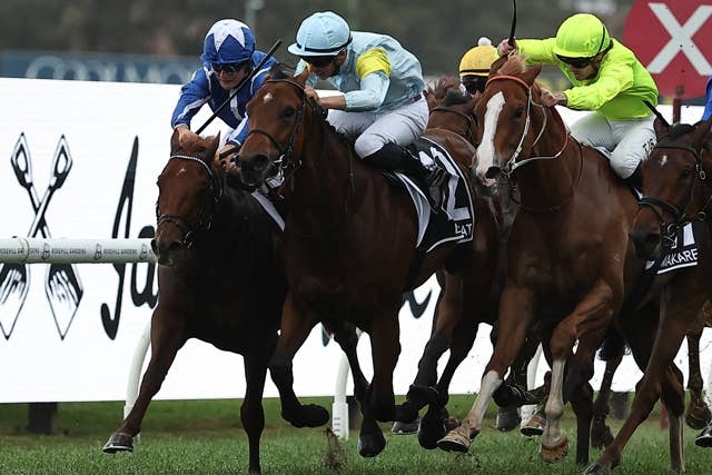 競馬ファンの方、海外レース、優勝馬 13億円レース優勝の日本馬、快挙直後の秘蔵映像に反響「微笑ましい