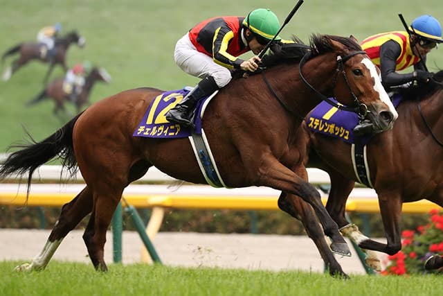 ドバイシーマクラシック ハーツクライ 特大 ドバイシーマクラシック