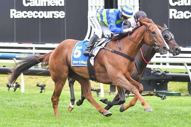 競馬ファンの方、海外レース、優勝馬 アナザーウィルが豪C.F.オーアSでG1初制覇、ミスターブライトサイドの