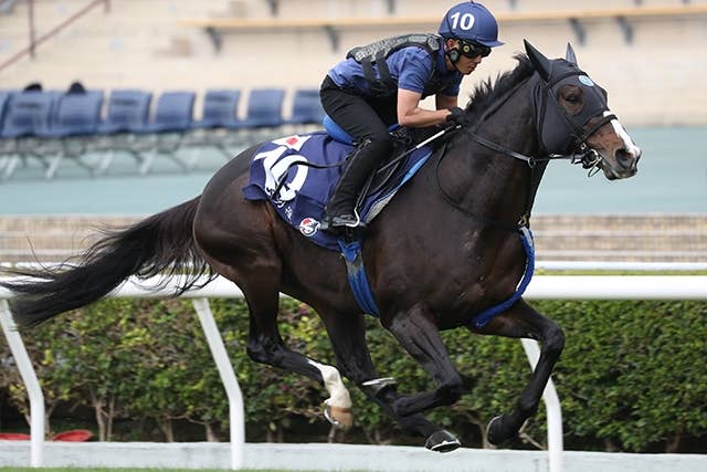 ソウルラッシュが4・5ドバイターフ招待受諾 最終的な出否は中山