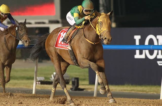 #超貴重#ドバイワールドカップ#競馬#サウジアラビア#競争馬#世界一 超貴重#ドバイワールドカップ#競馬#サウジアラビア#競争馬#世界