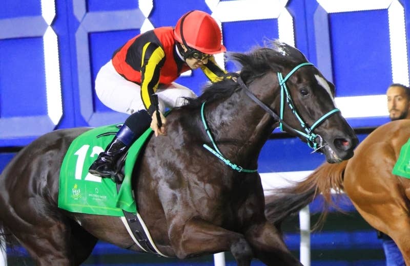 ⑱◆　競馬　JRA　◆　アスコリピチェーノ　◆阪神ジュベナイルフィリーズ◆セット 2023年 阪神ジュベナイルフィリーズ JRA