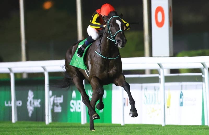 アスコリピチェーノ（Ascoli Piceno） | 競馬データベース | JRA
