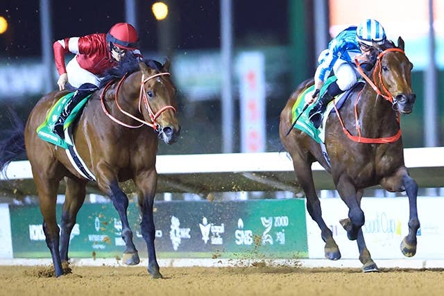 【競馬】パンサラッサ（2023年サウジカップ）アクリルオブジェ／JRA 逃げ切った！パンサラッサ、サウジカップ制覇！」【サウジC 2023